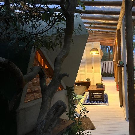 Domosdemar A 100 Mts Del Mar Hotell Ocean Park Exteriör bild