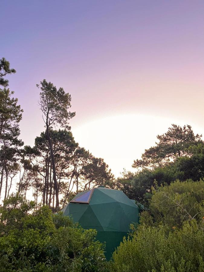 Domosdemar A 100 Mts Del Mar Hotell Ocean Park Exteriör bild